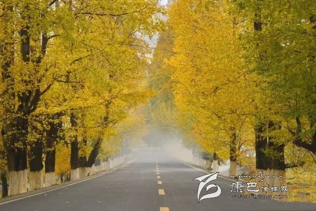 康定新都橋，有一條黃金大道通往夢中的天堂