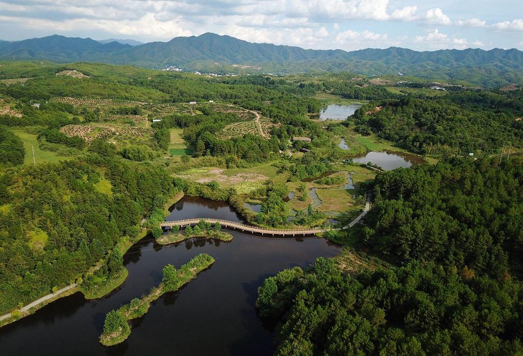 福建省龍巖市長汀縣的長汀汀江國家濕地公園景色（2020年7月28日攝，無人機(jī)照片）。新華社記者 魏培全 攝