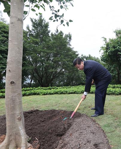 2012年12月7日至11日，習近平在廣東省考察工作。這是8日上午，習近平在深圳蓮花山公園種下一棵高山榕樹。新華社記者 蘭紅光 攝
