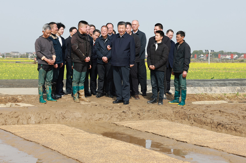 2024年3月18日至21日，中共中央總書記、國家主席、中央軍委主席習(xí)近平在湖南考察。這是19日下午，習(xí)近平在常德市鼎城區(qū)謝家鋪鎮(zhèn)港中坪村走進(jìn)田間，察看秧苗培育和春耕備耕進(jìn)展。新華社記者 王曄 攝